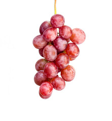 An image isolated grape red vine branch white background.