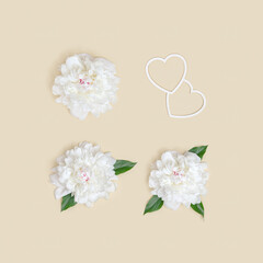 Layout of white peony flowers with hearts. Romantic holiday or Valentines Day flat lay.