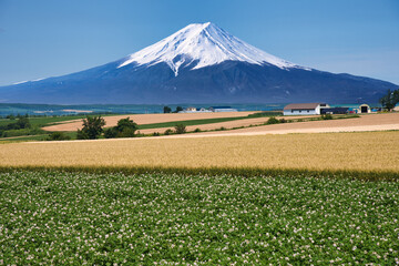 Fototapeta premium イメージ・富士山合成写真