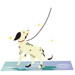 雨の日のお散歩