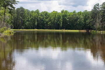 Beautiful reflection of wooded land on a lake