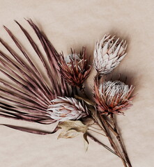 dried exotic flowers Protea and palm leaf on beige textured background close up . poster. minimal floral concept
