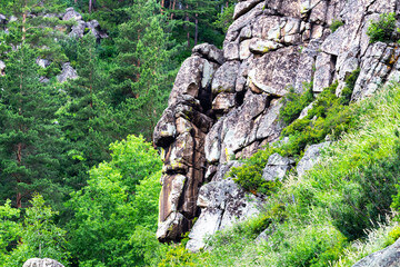 huge stone idol in the wild
