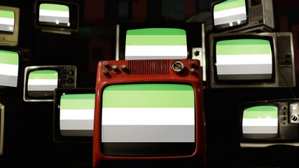 Aromantic Pride Flags and Vintage Televisions. 4K Resolution.