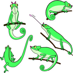 カメレオンのイラスト　5つのポーズ