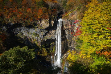日本三大名瀑（日光華厳の滝）３