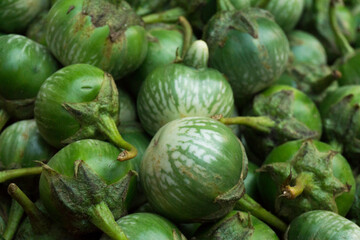 Pile of fresh green eggplant in traditional market stall