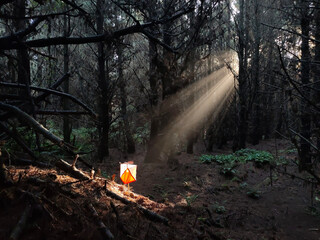 Orienteering control in sunbeam landscape 1