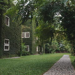 Trees House. Tree up on the wall.