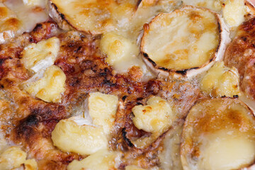 Close-up of pizza topped with goat cheese. Macro shot of delicious products.