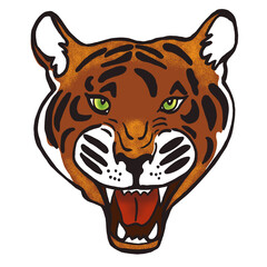 Portrait of tiger. Hand drawn illustration. Wild animal.