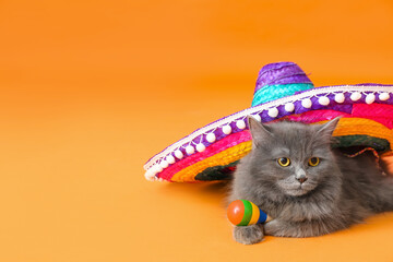 Cute cat with sombrero and maracas on color background