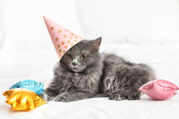 Cute cat in party hat at home