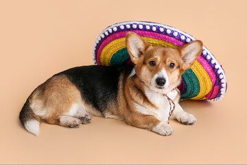 Cute dog with sombrero on color background