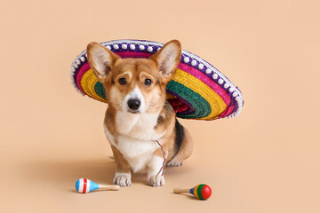 Cute dog with sombrero and maracas on color background