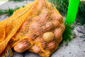  Orange bag with organic potatoes in it outdoors