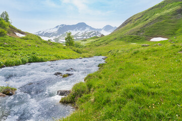 Peaceful waters flowing of a mountain creek, Aosta Valley, Italy. Green meadow on the right....