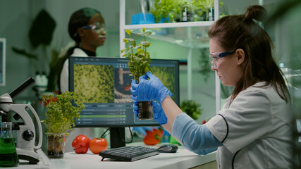 Biologist scientific doctor examining green sapling while typing on keyboard ecology expertise. womanresearcher observing genetic mutation on plants, working in agriculture laboratory