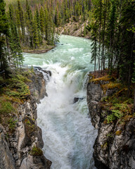 The turbulent turquoise water of the Sunwapta River as it tumbles down Sunwapta Falls in Jasper National Park in the Canadian Rocky Mountains