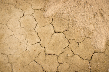 Cracked and dry soil background