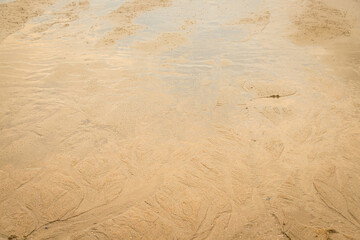 Fototapeta na wymiar Water erodes the sand on the beach