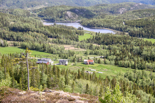 On a mountain hike to Skogfjellet in Velfjord here with a view to Forbergskog,Helgeland,Nordland county,scandinavia,Europe