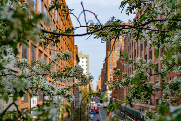 Manhattan , New York City Street and building of New York City America.