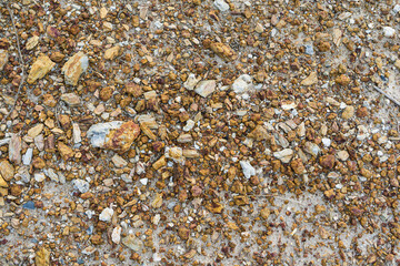 texture of sand stone or red stone on the ground
