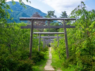 Tuinposter Wooden torii gates in an approach to a shrine in mountain (Yu shrine, Yahiko, Niigata, Japan) © Mayumi.K.Photography