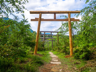 Wooden torii gates in an approach to a shrine in mountain (Yu shrine, Yahiko, Niigata, Japan)