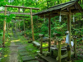 Gordijnen Old well and wooden torii gates in an approach to a shrine in forest (Yu shrine, Yahiko, Niigata, Japan) © Mayumi.K.Photography