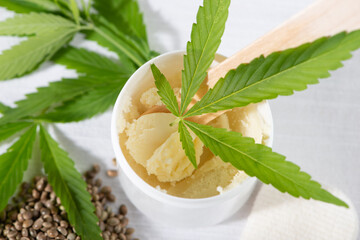Cannabis seeds, young hemp leaves and cannabis butter on white background.