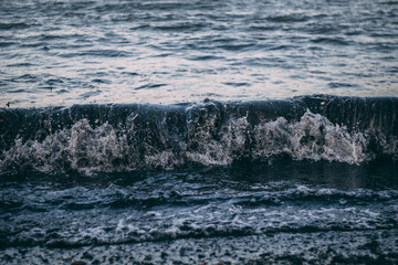 Fototapeta premium The wave has covered a log, something is floating in the sea, dirty water 