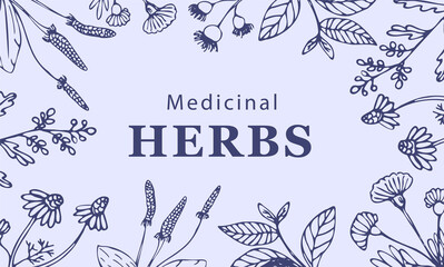 Frame made of herbs and plants. Botanical natural frame for packs or background. Nature concept. Vector illustration in sketch style.