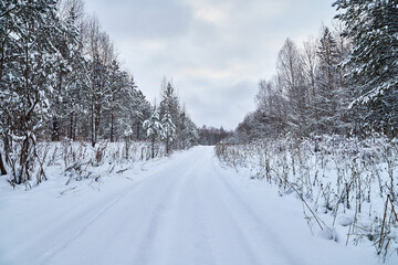 Winter road and snow covered trees in the forest on the roadside