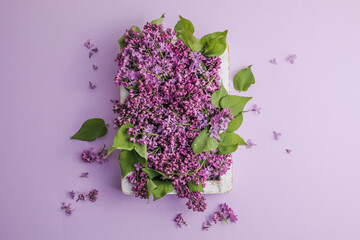 blossom Syringa vulgaris in Lilac flower in box.Top view. Romantic flowers composition. Mock up frame with lilac flowers on purple background
