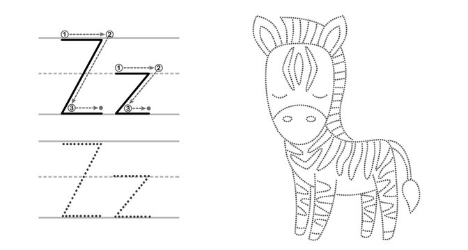 Trace the letter and picture and color it. Educational children tracing game. Coloring alphabet. Letter Z and funny Zebra