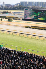 競馬場　群衆