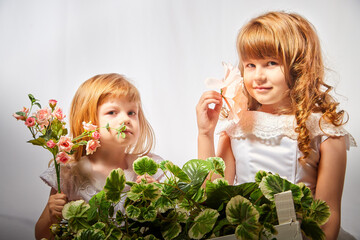 Cute girls in beautifull dress with flowers in the studio on a white background. Young sisters posing indoors
