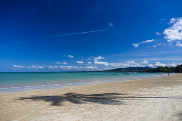 Beach with Blue Sky and Clear Water with Coconut Trees