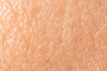 Close up of human skin as background.