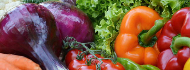 Colorful set organic food. Fresh raw vegetables. Healthy vegetarian food.Vegetarian eating concept.