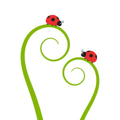 ladybug on leaf. wallpaper. free space for text. background. symbol. ladybug on white background.