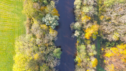 View from above on the autumnally leafy leaves of the flood plains near Hiltenfingen