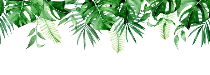  seamless watercolor border, banner, frame with tropical leaves. green leaves of monstera, palm, fern isolated on white background. seamless print clipart © Татьяна Гончарук