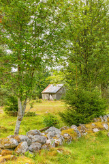 Obraz premium Idyllic old shed in a forest meadow