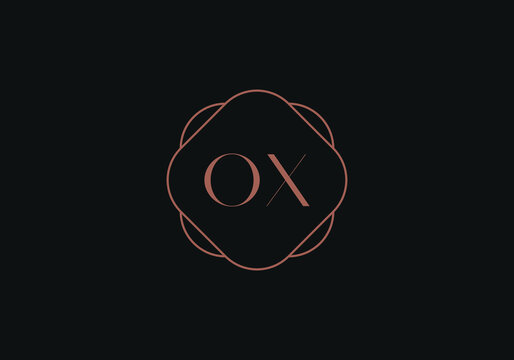 Initial letters OX XO logo design template