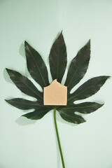 Fototapeta na wymiar Top view of hand made soap bar on green leaf isolated on mint 