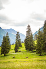 natural landscape with green mountain peaks in summer