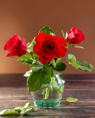 A bouquet of red roses in a glass transparent vase. Brown background. Postcard. Poster.